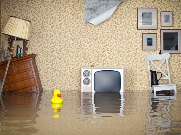 Взыскание вреда причиненного затоплением в Краснодаре